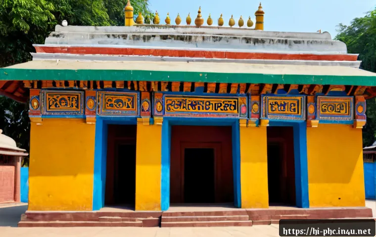 सरकारी स्वास्थ्य केंद्र में हेपेटाइटिस B टेस्ट: उपलब्धता, खर्च और सही जांच चुनने की गाइड 4 보건소에서의 B형간염 검사 관련 이미지 2
